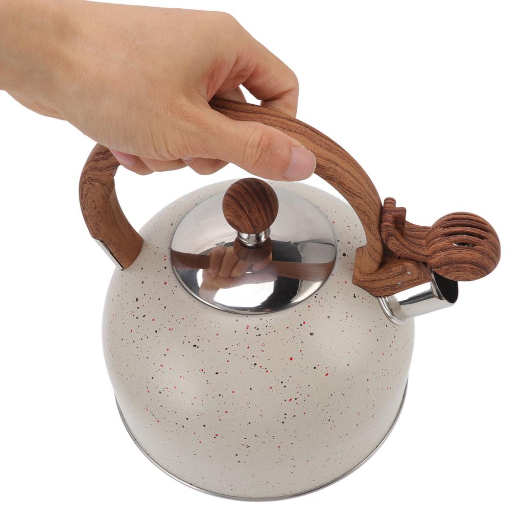 Whistling Kettle 2.5L Capacity Stainless Steel Stovetop Teapot for Water Boiling