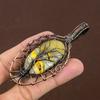 Bumblebee Jasper Handmade Copper Wire Wrap Jewelry Pendant 3.23" V5O70