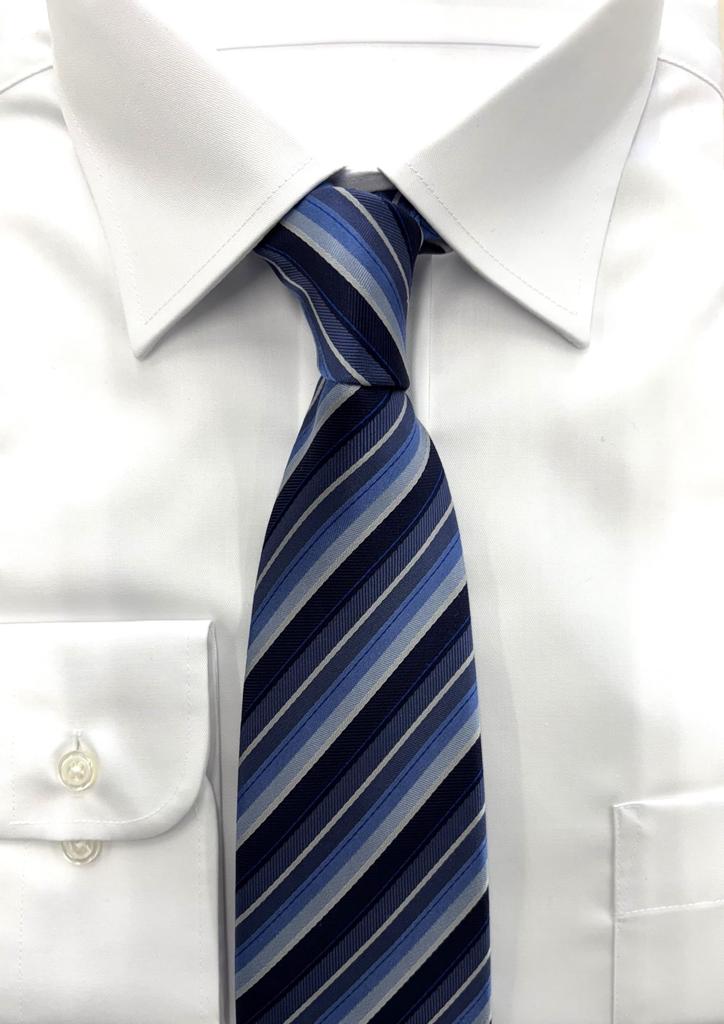 [Hiroko Koshino Homme] Men's Brand Necktie, Blue, Made In Japan, FREE Size