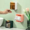 Small Jewelry Holder Box Plastic Material Wall Mounted Storage Box Dustproof Bathroom Organizer for Cotton Swabs Makeup