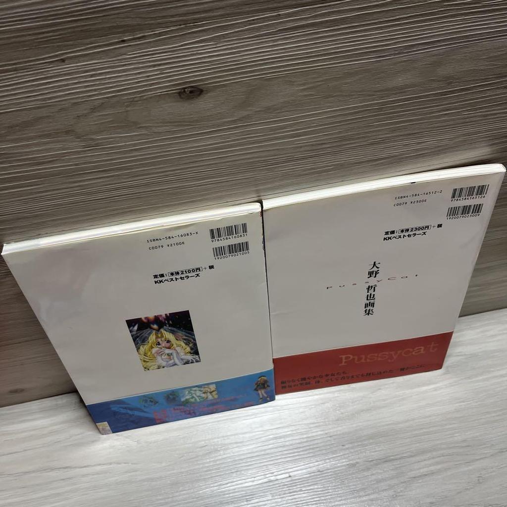 [USED] Tetsuya Ohno Art Book Meiking