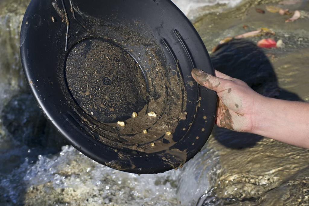 SCIENCE Basic Black Gold Pan Gold Panning Dish Dish Guide Black 1 Plastic Panning Bowl "14in" "Panning (3-Riffle Type/Water Specification) Approx.