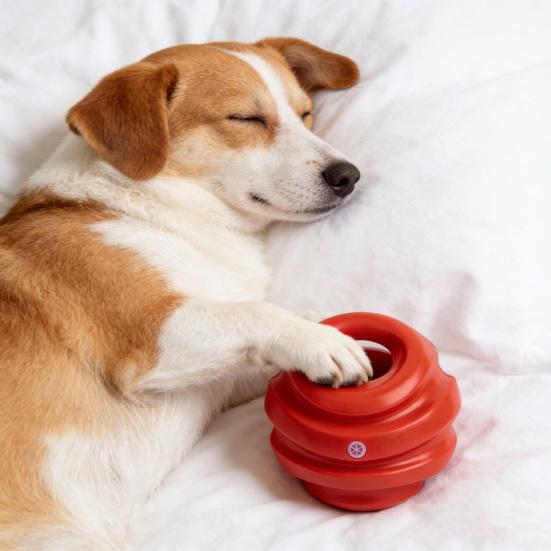 Kettlebell Dog Chew Toy Interactive Dog Toy Ball with Handle Teeth Cleaning Toy for Dogs Toss And Fetch Play Training