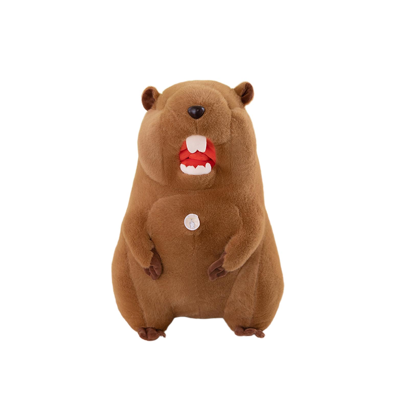 

Plush Toys, Cute And Perfect Birthday Gifts For Friends And Classmates, Graduation Gifts One Size