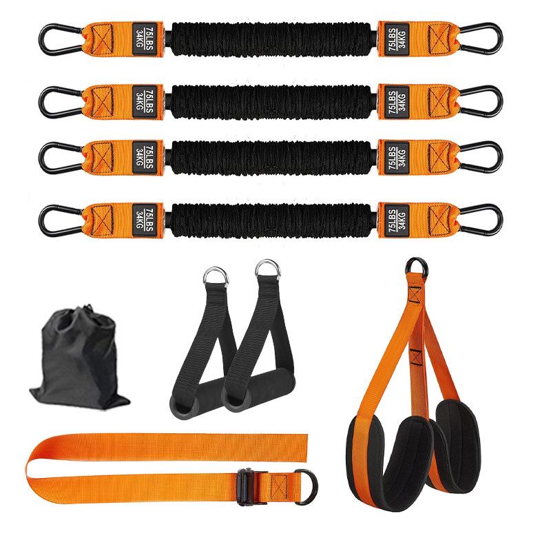 Pull-up Assist Resistance Band for Indoor Fitness and Exercise