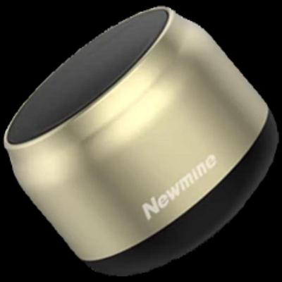 Newman BT31 Tragbarer Kabelloser Bluetooth-Lautsprecher CN-Stecker (Adapter enthalten)