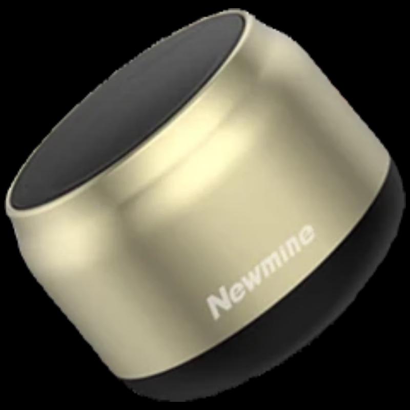 

Newman BT31 Portable Bluetooth Speaker