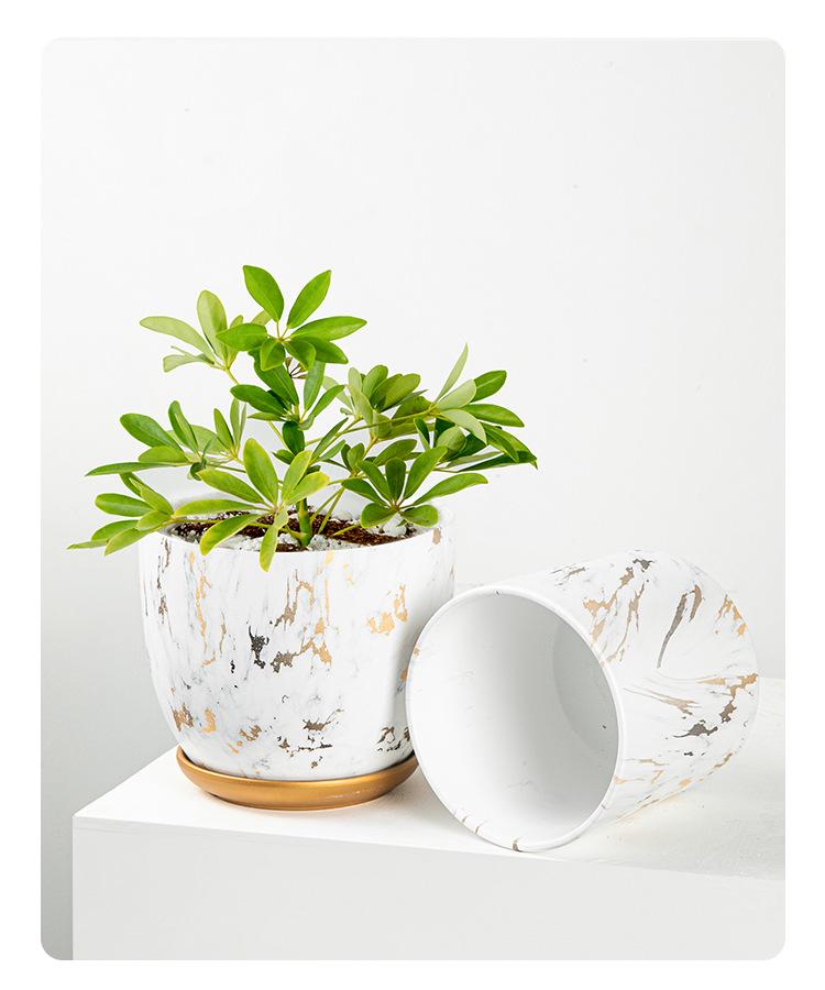 Marble Pattern Ceramic Flower Pot with Gold Tray - Nordic INS Style