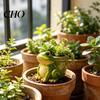 Vaso da Fiori per Soggiorno Rana Fioriera, Fioriera Decorativa in Resina, Resistente allo Sbiadimento Piccolo Accento per Giardino di Fiori Erbe da Interno, Contenitore per Decorazione della Casa