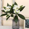 Real Touch Artificial Plumeria Flowers DIY with Green Leaves Simulation Frangipani Branch Multicolor Photo Props