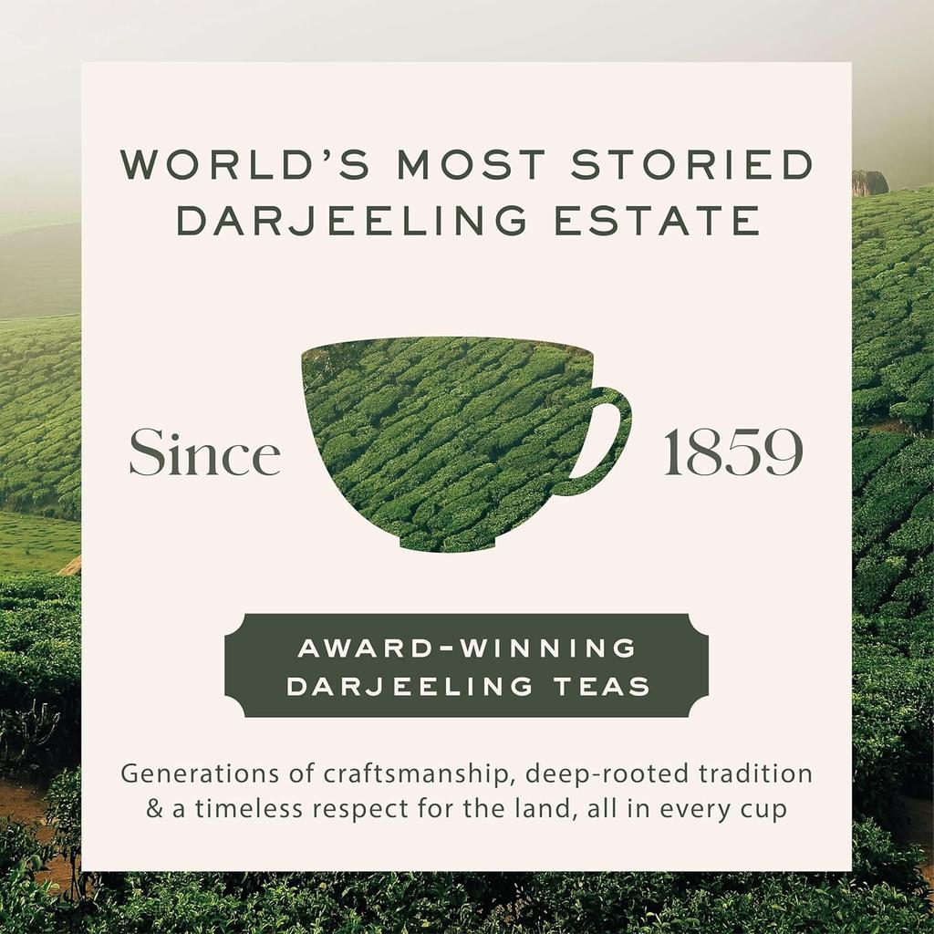 Makaibari Frühjahrsblüte | 25 Teebeutel | 50 g | Darjeeling First Flush Schwarzer Tee | Teeschatz