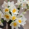3/5 Pack Artificial Daffodil Swags Plastic Faux Narcissus Flower Bundle for Home Decor
