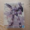 Bandai MG Narrative Gundam Assembly Kit Plastic Model Gundam Plastic Model Anime Robot [Unassembled] 1/100 B-Equipment Ver. Ka