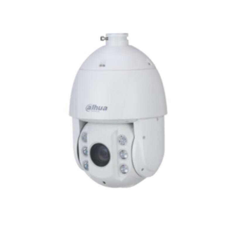 Dahua 4MP 4G Low-Power Industrial PTZ Camera CN Plug (adapter Included)