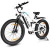 Varun S26-1 Adult Mountian EBike With Dual Disc Brake 26 Inch Wide All-Terrain Tires Outdoor Electric Bicycle 48V18Ah Battery 750W Motor Electric Bike