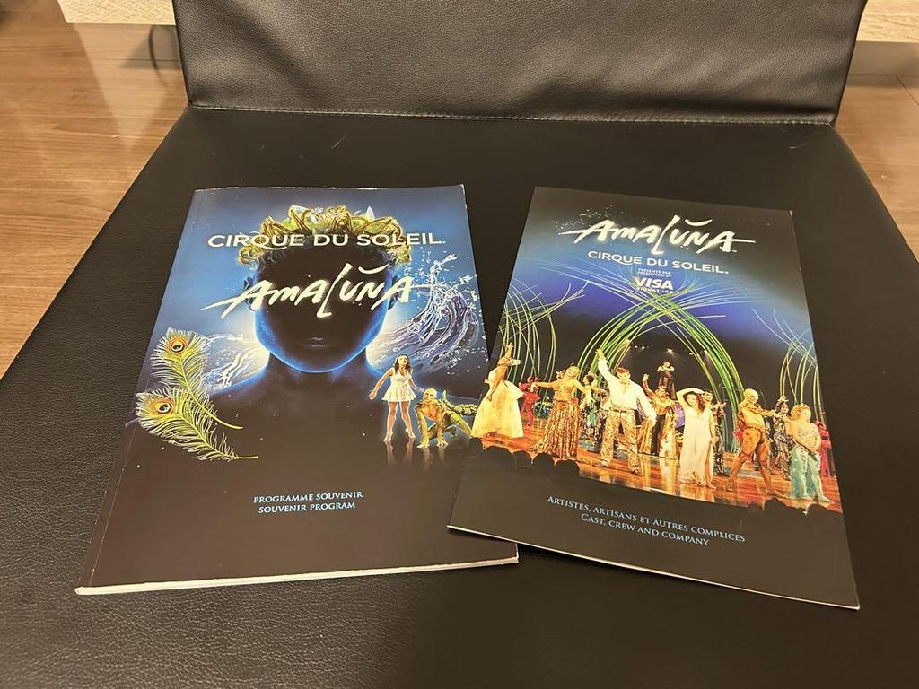 [USED] Cirque du Soleil Art Book Set of 7