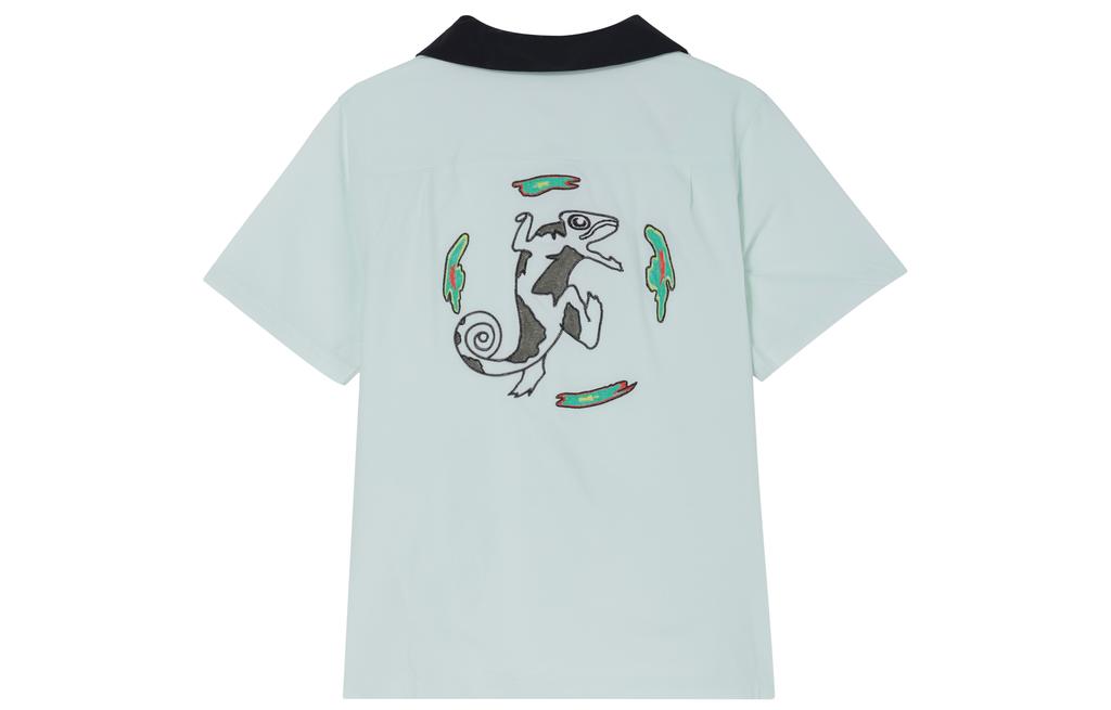 Nike Sb Olympics 2024 Agnostic Bowler Shirt FZ4059-394
