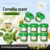 Camellia Plant Extract Odor & Mold Removal Box for Bathroom & Living Room