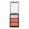 Contour Palette - Monaco 3x6g/0.21oz
