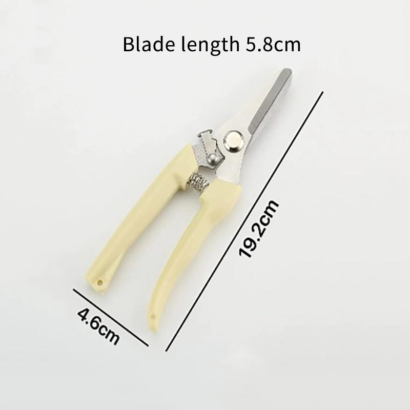 

Stainless Steel Scissors Flower Cut Arrangement Pruning Fruit Tree Garden Branch Cutting Household Grafting Gardening Scissors A2