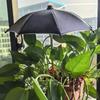 UV-Beskyttende Plante Skygge Paraply Vejrbeskyttet Haveplante Paraply Blomsterbede