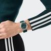Adidas Originals Uhr Unisex Adidas Expression Three Quarz 5 ATM Wasser Mineralgrün Edelstahl Uhr, AOFH25501, Uhrwerk, Widerstandsfähigkeit, Glas,