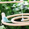 Pájaros – Juguetes para pájaros