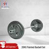 Painted Barbell Weightlifting Set