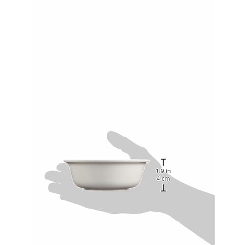 Seibu Shoji Daiwa Children's Duck Peckle Fruit Plate, Melamine Resin, Japan, RHL20