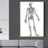 Menschliche Anatomie Kunst Leinwand Malerei Drucke Orgel Skelett Vintage Poster Bildung Bild Für Zimmer Hause Klinik Medizinische Wand Dekor