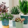 Flower Pot Multiple Holes Trays Succulent Planter Indoor Plants Pots Drain Breathable Case Home Bonsai Decoration
