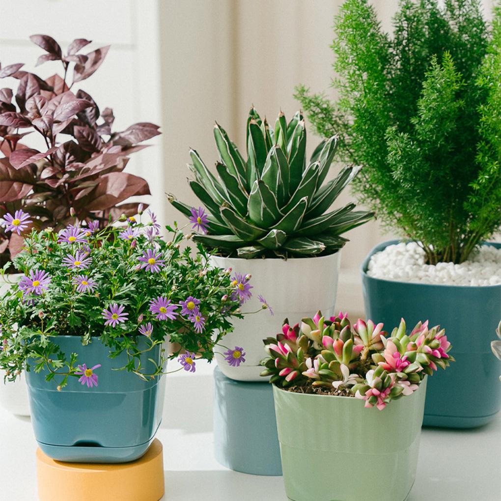 Flower Pot Multiple Holes Trays Succulent Planter Indoor Plants Pots Drain Breathable Case Home Bonsai Decoration