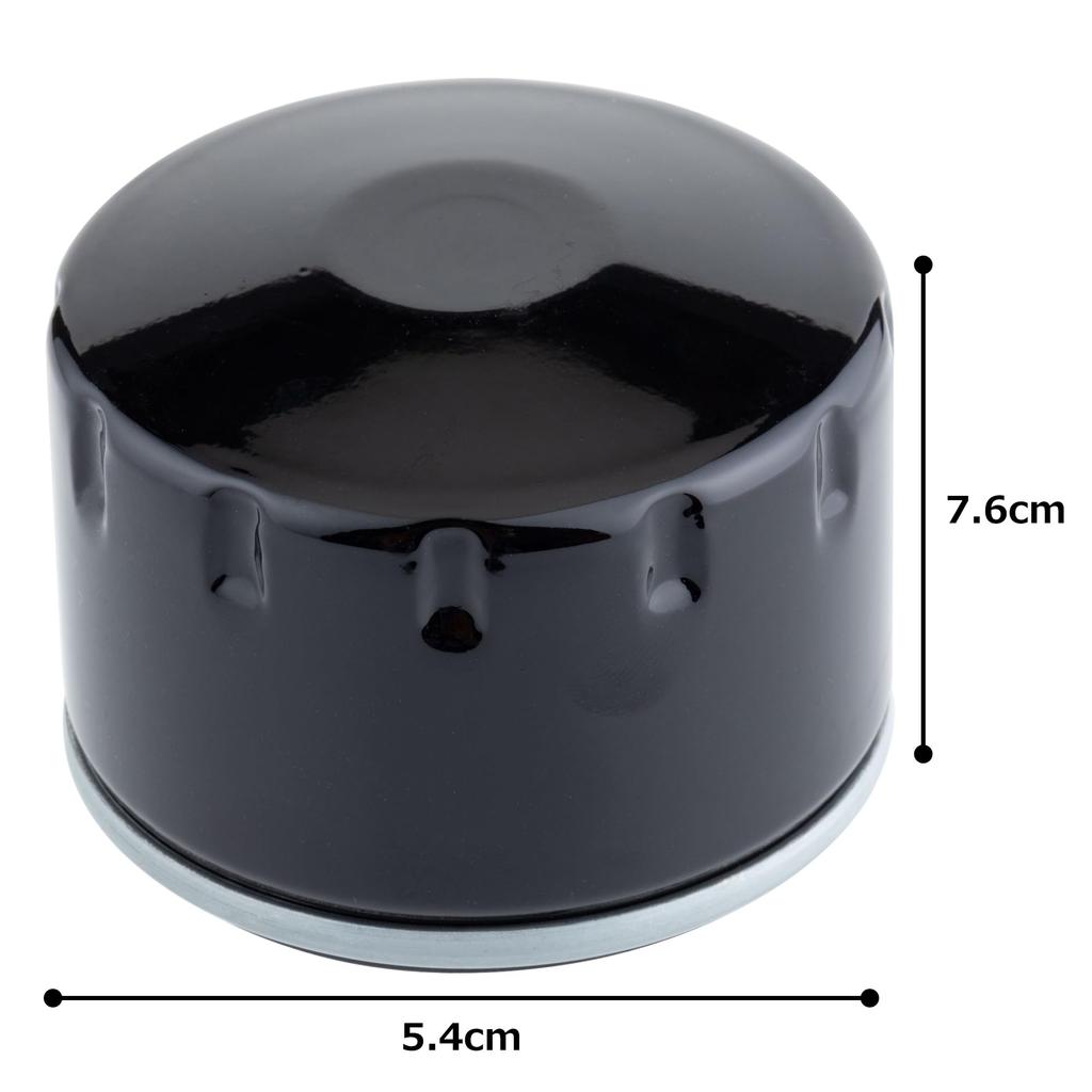 Kijima BMW 1142 7673 541 BM-08704 Motorcycle Parts Filter Cartridge