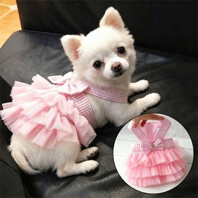 Giyim ve ayakkabı – Köpek elbiseleri