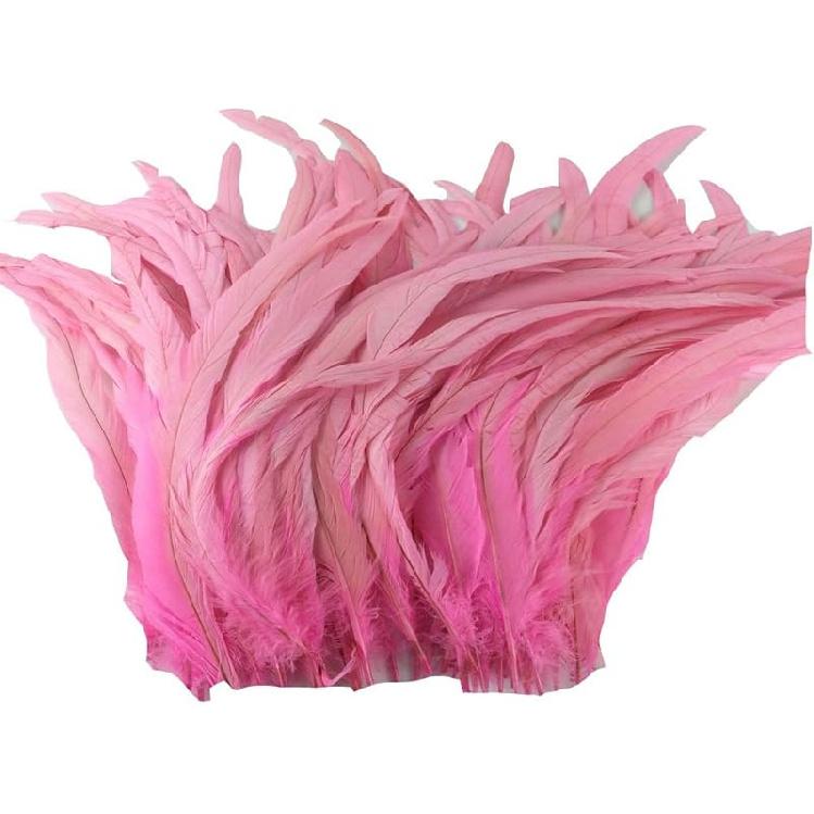 Nature Rooster Coque Tails Feathers Costume Craft Decoration 12-14inch Pack of 25 (black)