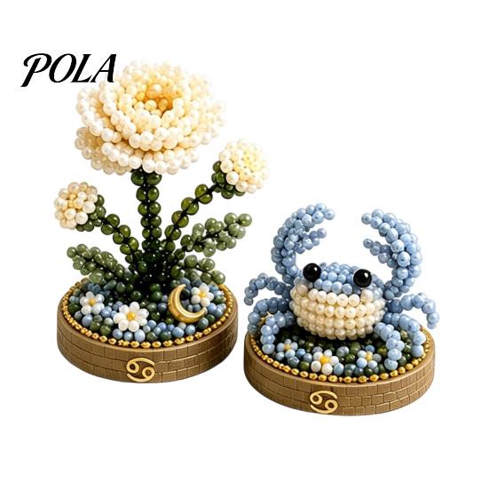 12 Tierkreiszeichen Perlen Bastelset, DIY Perlen Garten Set, 3D Perlen Astrologie Blume Set mit Vorsortierten Perlen Werkzeugen, Perlen Bastelprojekt für Anfänger