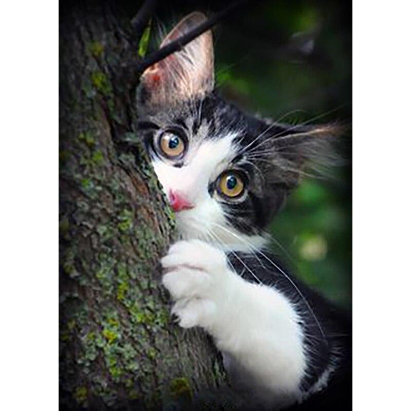 

5D DIY алмазная живопись черный кот цветок Алмазная вышивка животное вышивка крестиком полная квадратная круглая дрель домашний декор ручной подарок Full Round 15x20CM