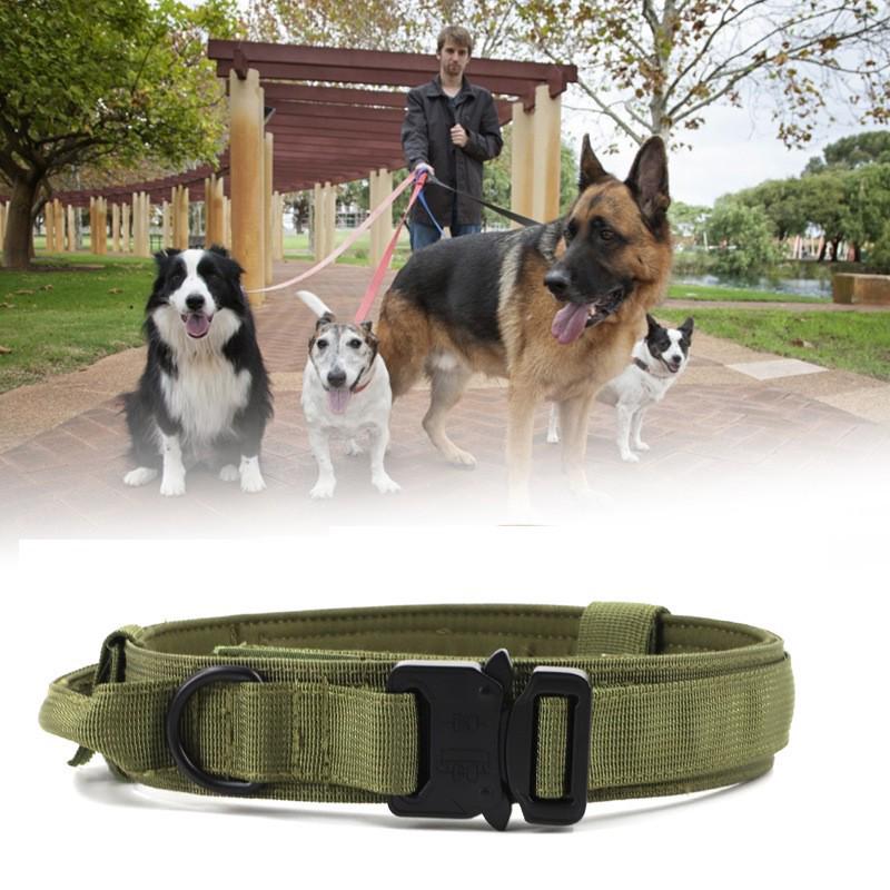 Tactical Nylon Dog Leash & Collar Set for Medium to Large Dogs - Military Grade Training Gear