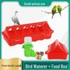 Automatic Chick and Quail Feeder with Drinker Trough