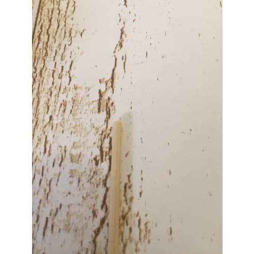 Daiwa Bussan Bamboo Skewers, Business Prosperity, 800g Box, 18cm