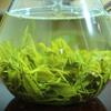 Nou Premium Spring Biluochun Green Tea Chinese Green Tea Organic Speciality Tea