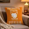AFTG All For The Game Cushion Cover Soft Plush Cushion Cover Double Print And Invisible Zipper For Sofa Home Car Use