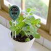 Plant Moisture Meter Soil Moisture Light PH Tester Soil Probe Test Kits for Indoor Outdoor Plant Care, Hydrometer for Plants