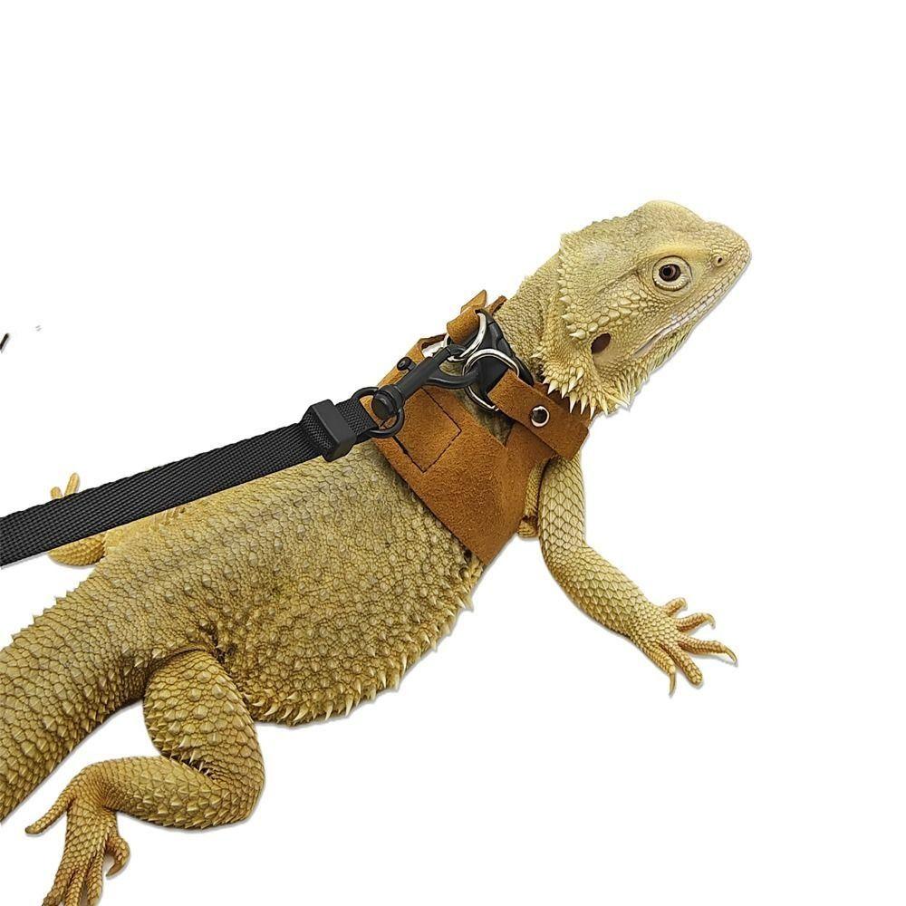 Adjustable Rat Harness and Leash Set 3 Sizes Vests Anti-Bite Chest Strap Lizard Traction Rope Leather Soft