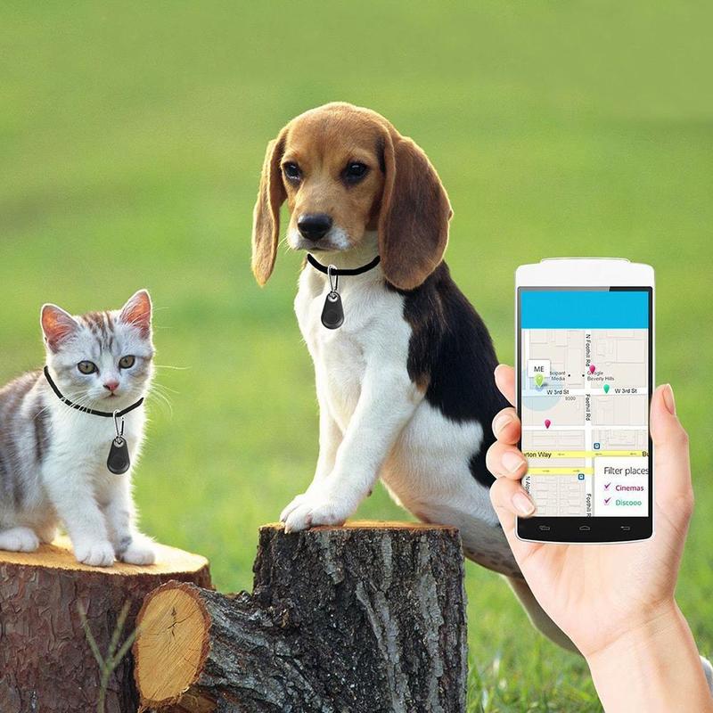 pet tag gps tracker