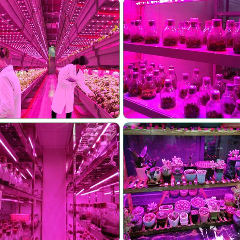 DC 5V USB LED Grow Light Full Spectrum 1-5m Plant Light Grow LED Strip Phyto Lamp for Vegetable Flower Seedling Grow Tent