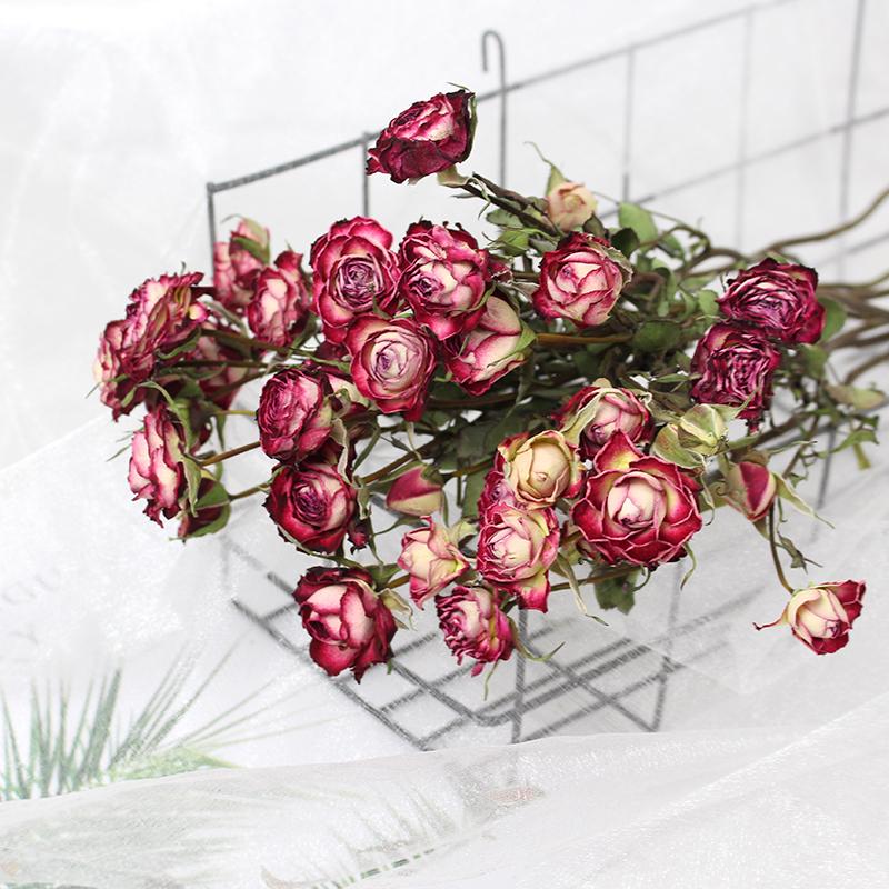 Small Dried Rose Buds for DIY Flower Arrangements and Home Decor