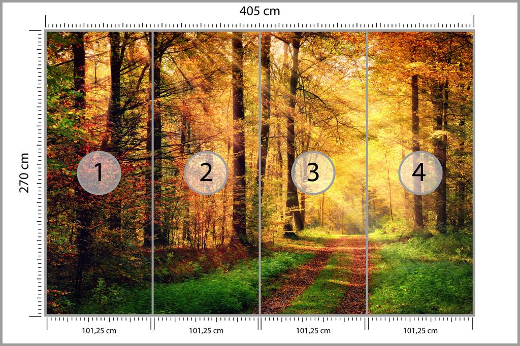 Photomural Forest Autumn Colours Non-Woven 405x270