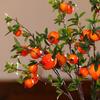 Plastic Artificial Pomegranate Branches 6-Fruit Simulation Foam Fruit Tree  Indoor Outdoor