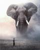 5D Diamond Painting Elephant Full Drill Square Needlework Diamond Embroidery Full Set Animal Diamond Mosaic Cross Stitch Craft Kit Home Decor